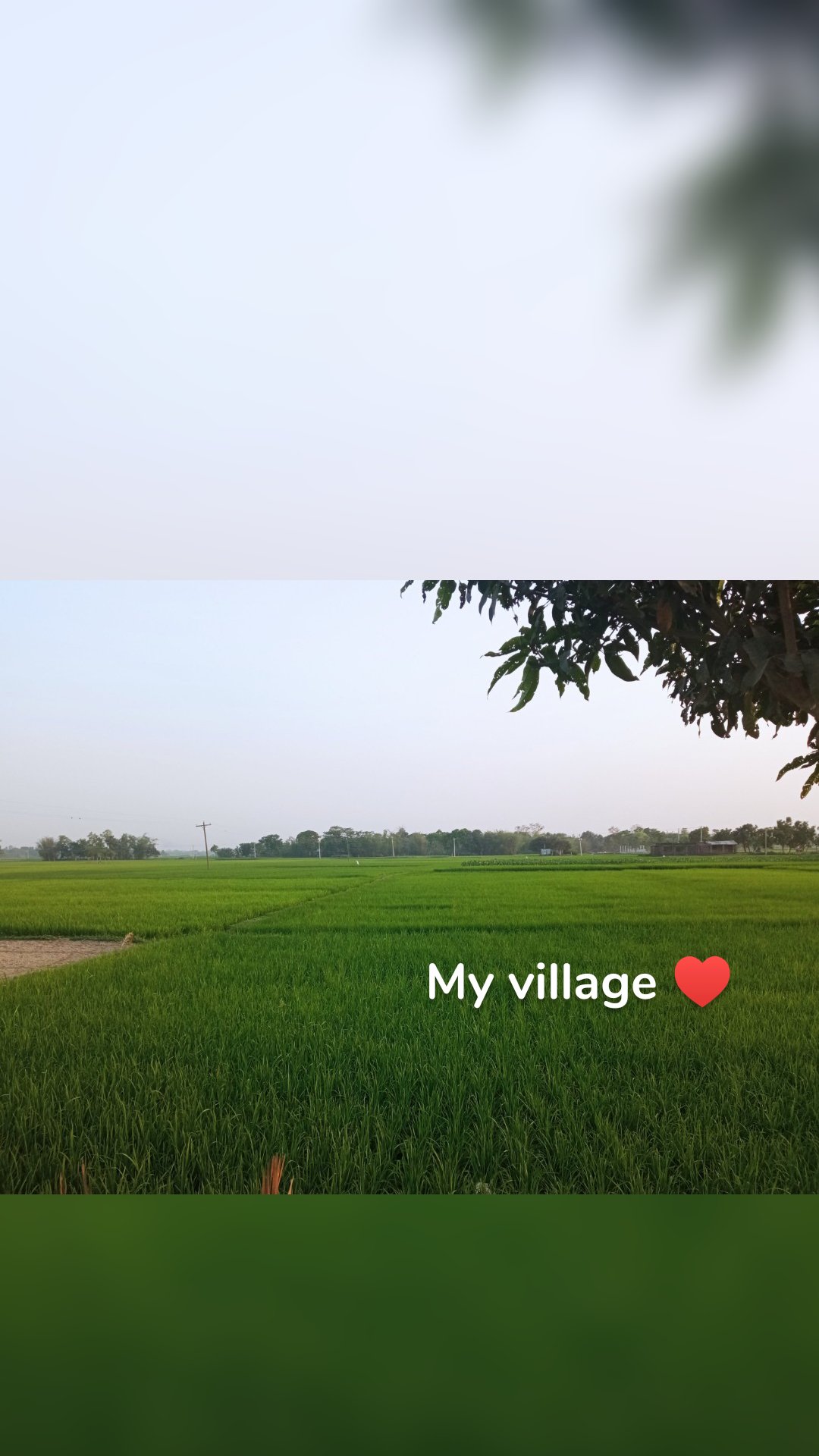 My village ♥️